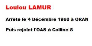  Loulou LAMUR 
